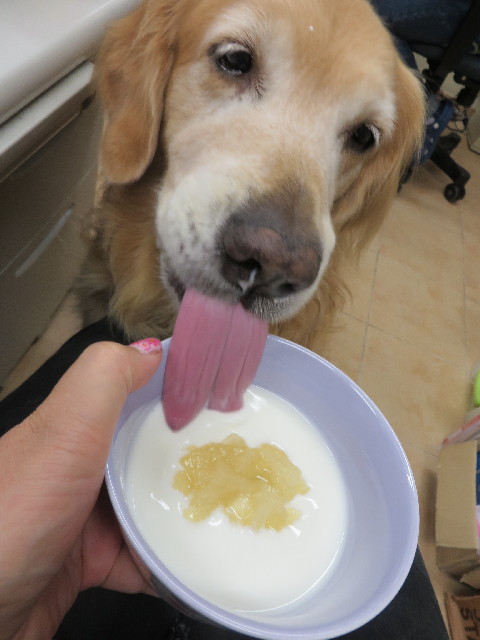 ファイル 3818-4.jpg