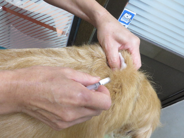 ファイル 3820-3.jpg