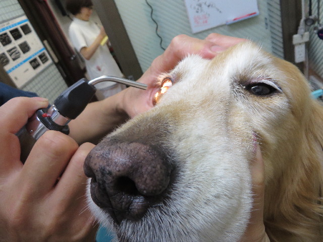 ファイル 3820-4.jpg