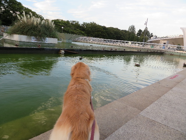 ファイル 3821-4.jpg