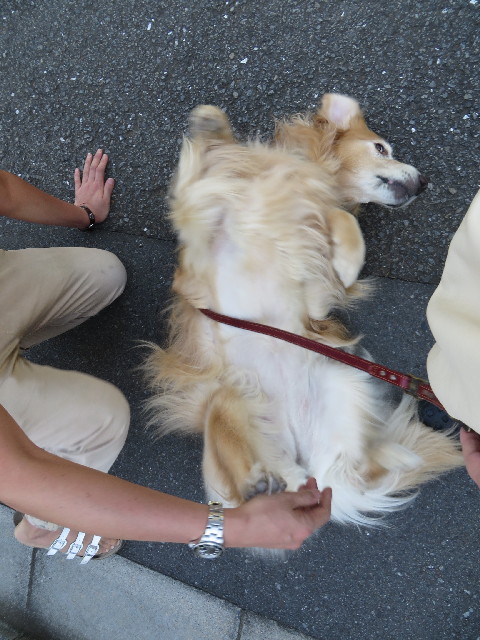 ファイル 3823-5.jpg