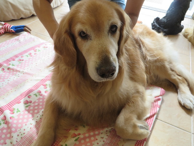 ファイル 3826-5.jpg