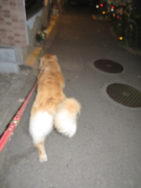 ファイル 3828-2.jpg