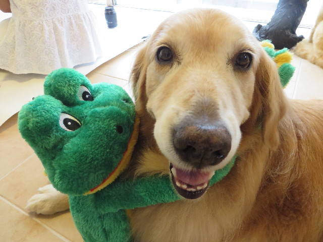 ファイル 3829-2.jpg