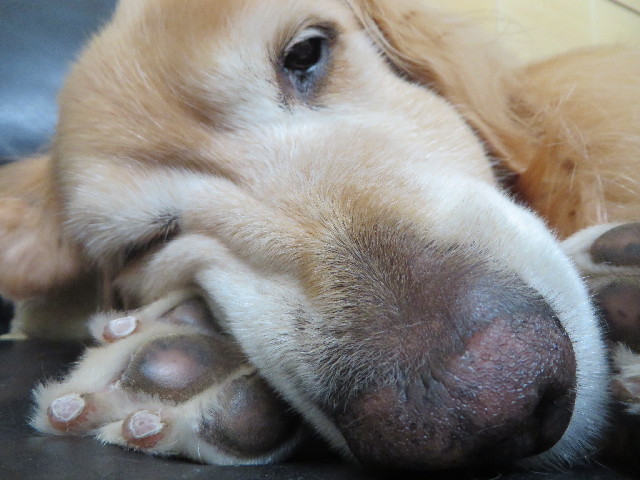 ファイル 3829-4.jpg