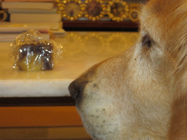 ファイル 3829-5.jpg