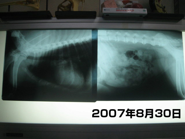 ファイル 383-3.jpg