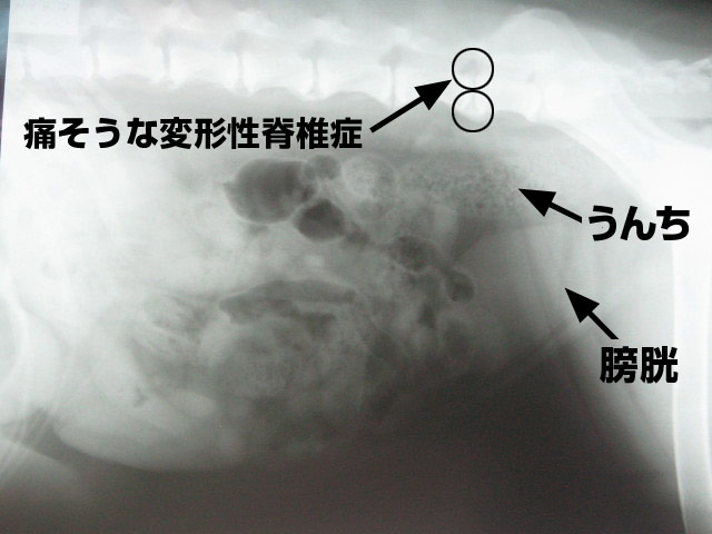 ファイル 383-5.jpg