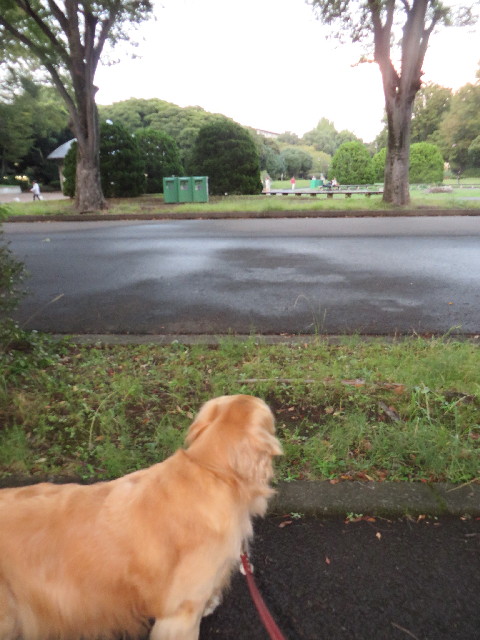 ファイル 3831-3.jpg