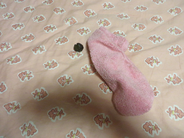 ファイル 3832-4.jpg