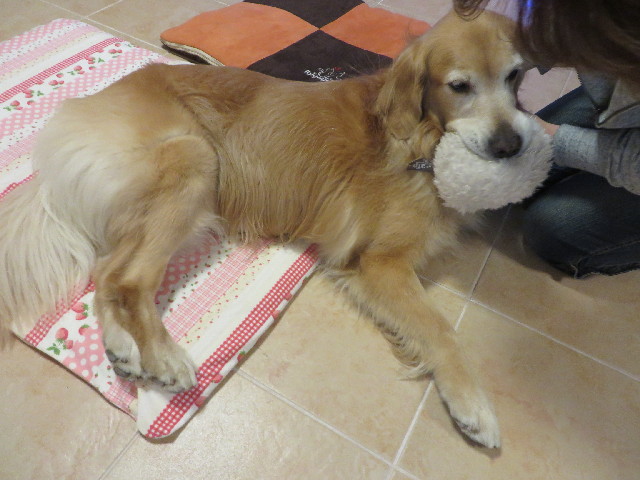 ファイル 3833-4.jpg