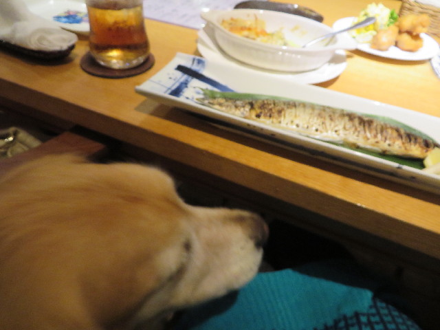 ファイル 3836-5.jpg