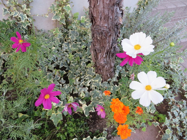 ファイル 3837-5.jpg