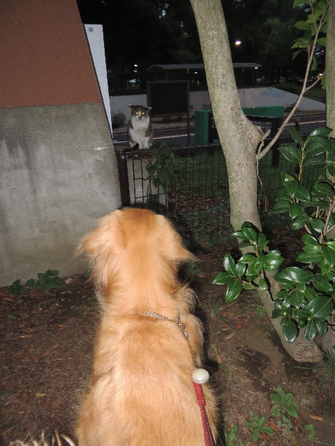 ファイル 3838-4.jpg