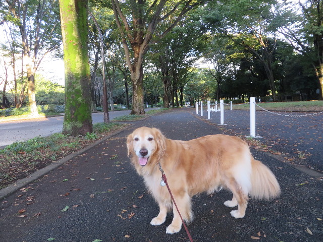 ファイル 3839-2.jpg