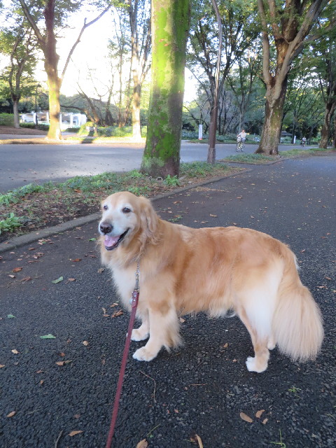 ファイル 3839-3.jpg