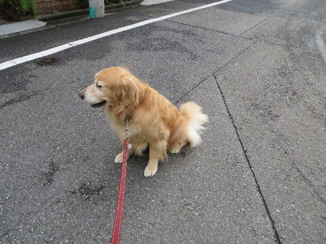 ファイル 3839-4.jpg