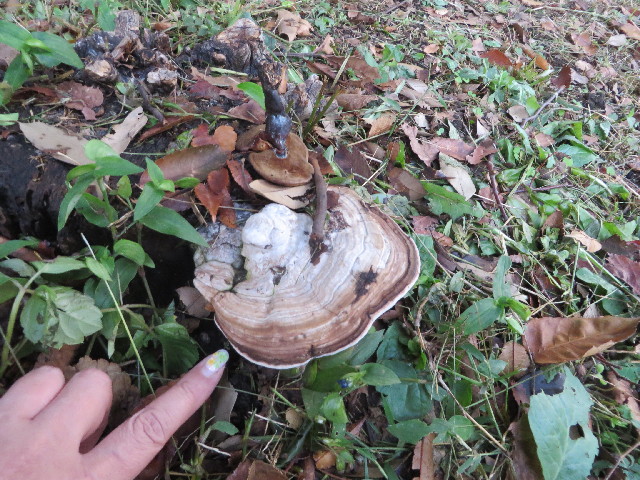 ファイル 3839-5.jpg