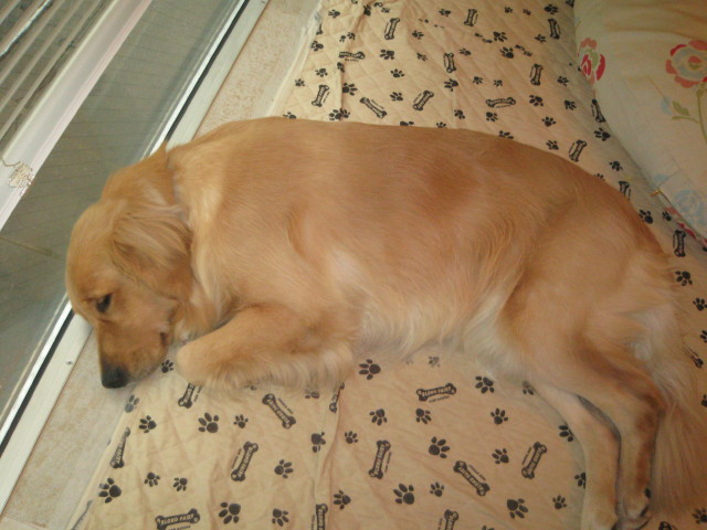 ファイル 384-4.jpg