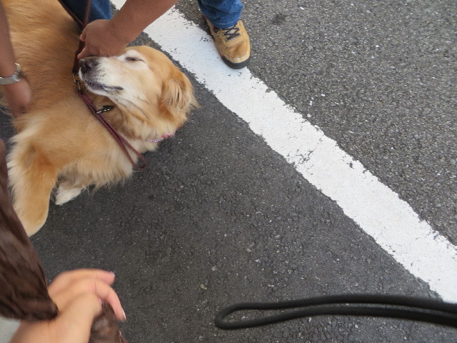 ファイル 3840-1.jpg