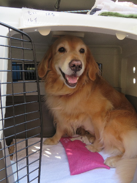 ファイル 3840-2.jpg