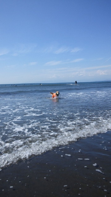 ファイル 3841-1.jpg