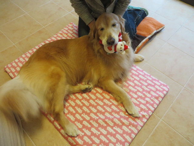 ファイル 3841-5.jpg