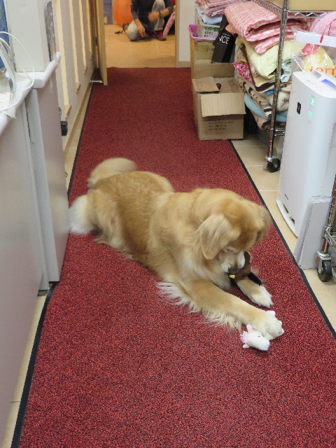 ファイル 3842-3.jpg