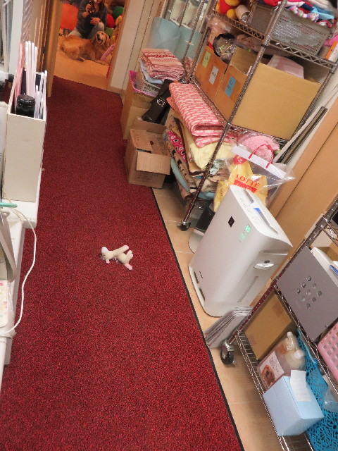 ファイル 3842-4.jpg