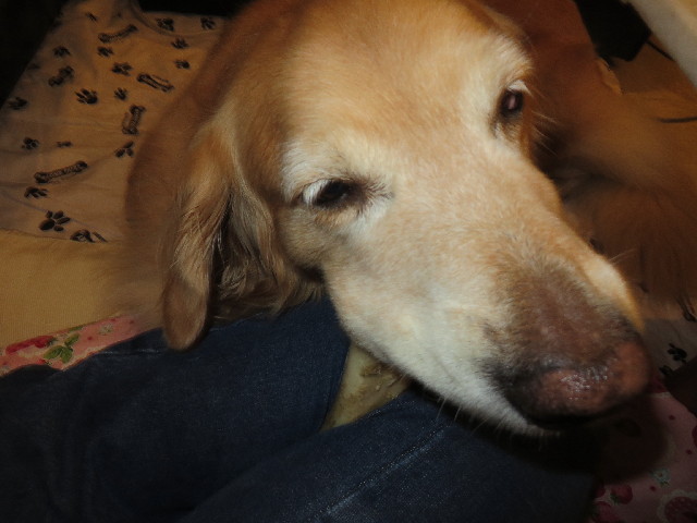 ファイル 3842-5.jpg