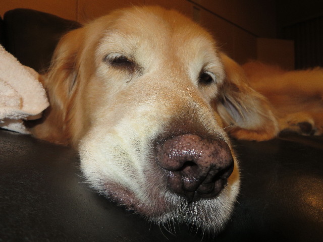 ファイル 3843-1.jpg