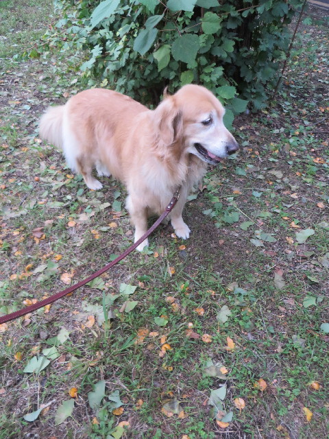 ファイル 3843-2.jpg