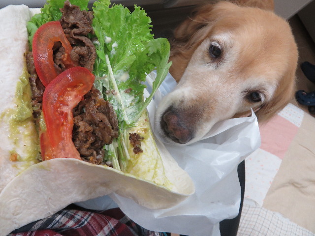 ファイル 3843-4.jpg