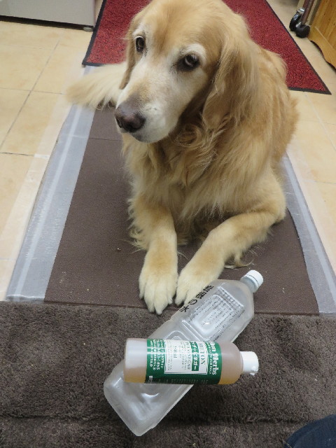 ファイル 3843-5.jpg