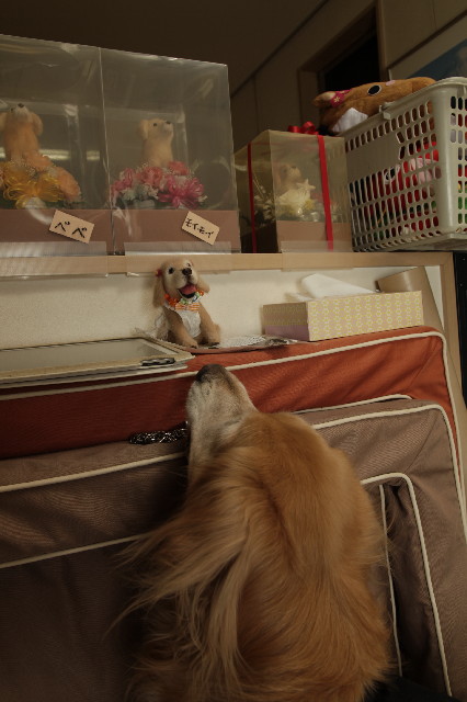 ファイル 3844-3.jpg