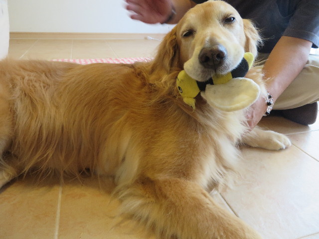 ファイル 3844-5.jpg