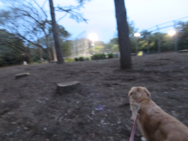 ファイル 3845-2.jpg