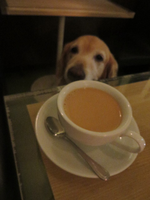 ファイル 3845-4.jpg