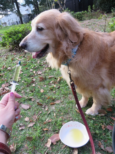 ファイル 3846-2.jpg