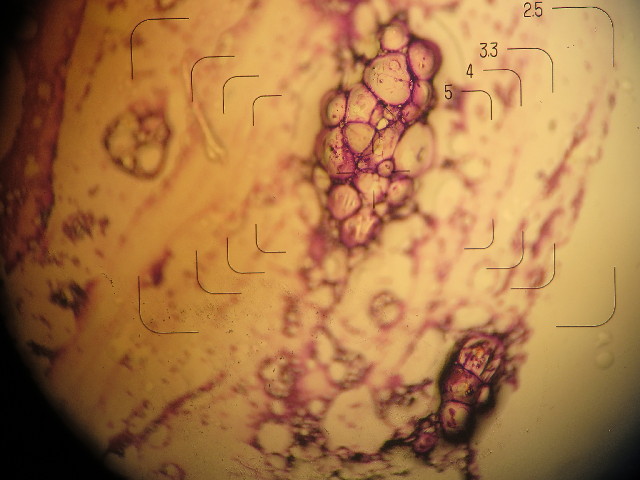 ファイル 3846-4.jpg