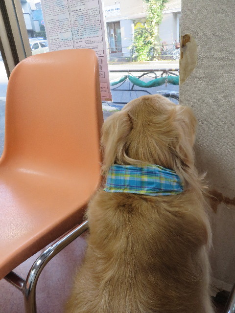 ファイル 3846-5.jpg