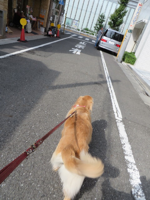 ファイル 3847-3.jpg