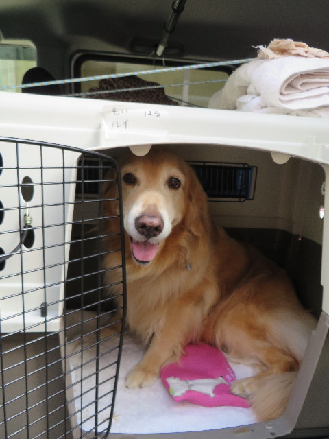 ファイル 3847-5.jpg