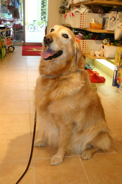 ファイル 385-3.jpg