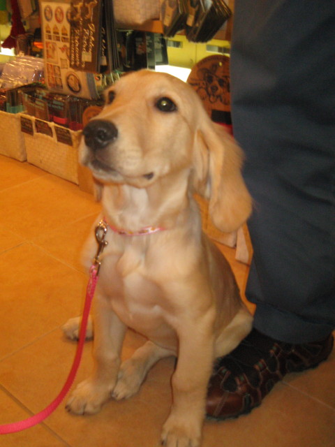 ファイル 385-4.jpg