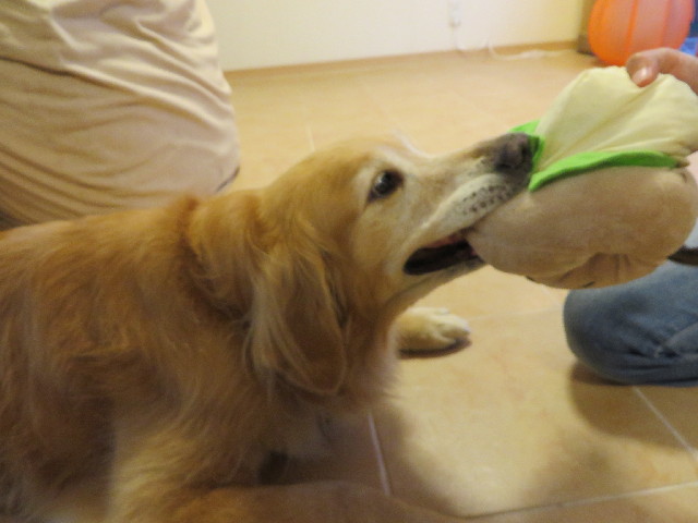 ファイル 3851-2.jpg