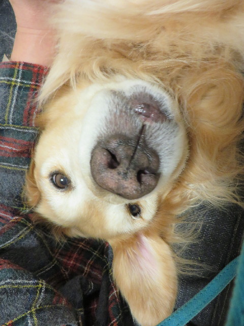 ファイル 3851-4.jpg