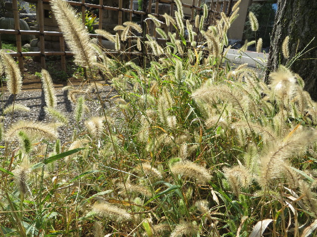 ファイル 3853-3.jpg