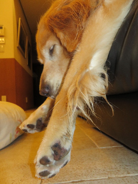 ファイル 3854-1.jpg