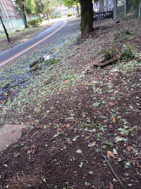 ファイル 3854-3.jpg